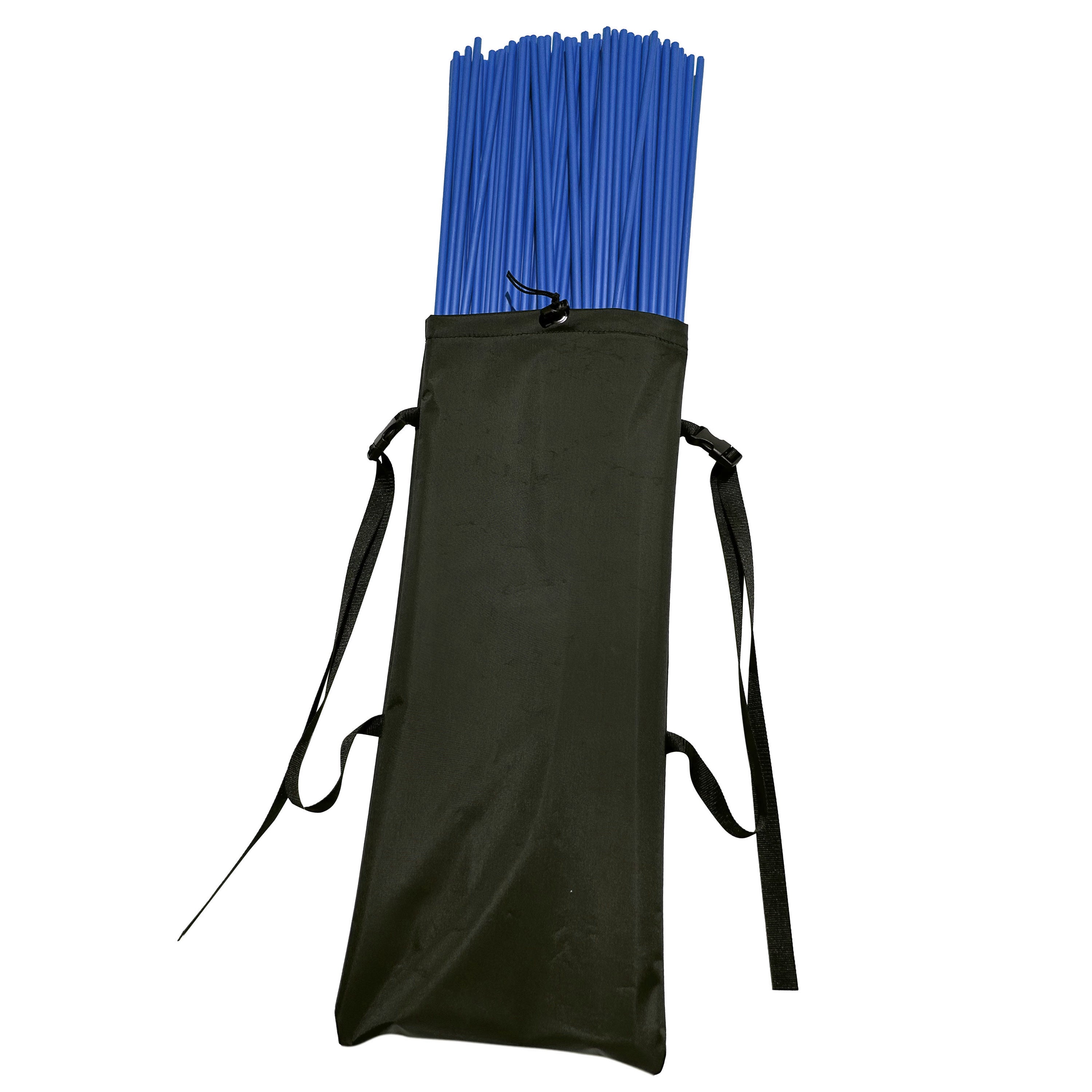 Black carrying bag with blue stakes on a white background